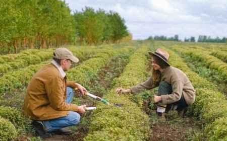 New dating trend brings plant lovers together